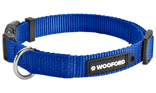Essential Nylon Dog Collar