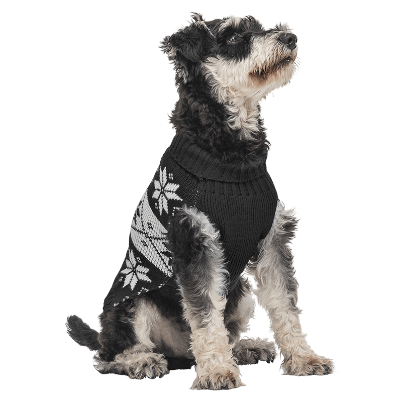 Printed Winter Sweater for Dogs