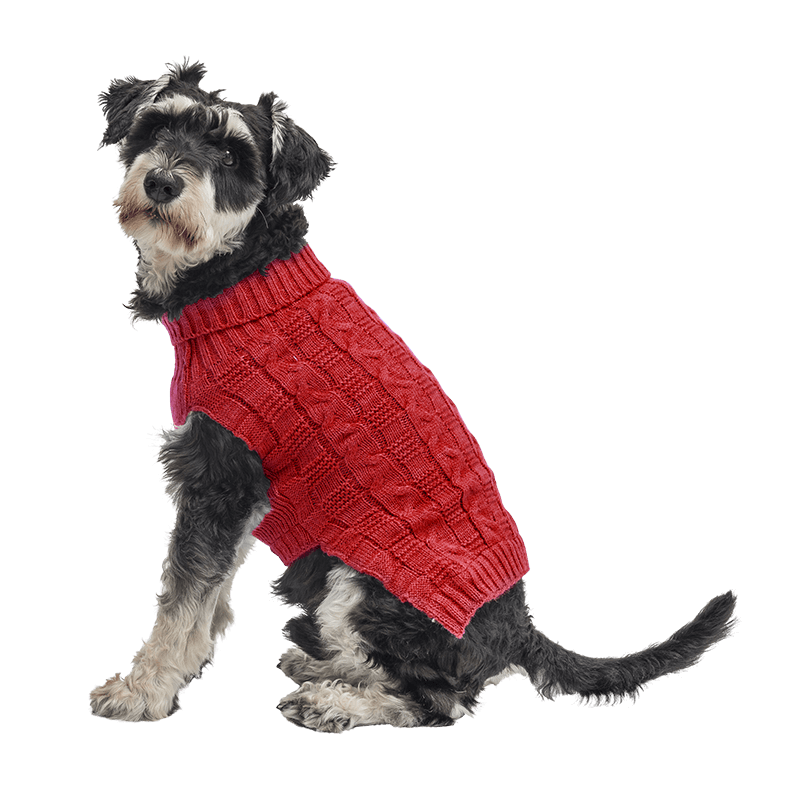 Warm Cotton Sweater for Dogs