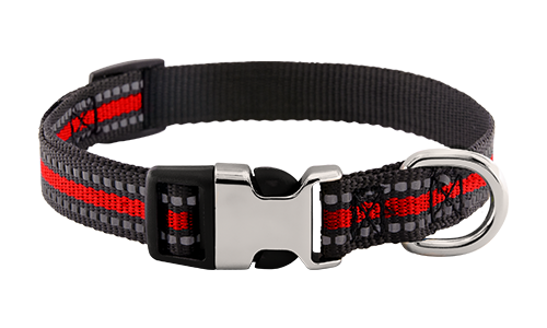 Dog Collar with Engraved Buckle