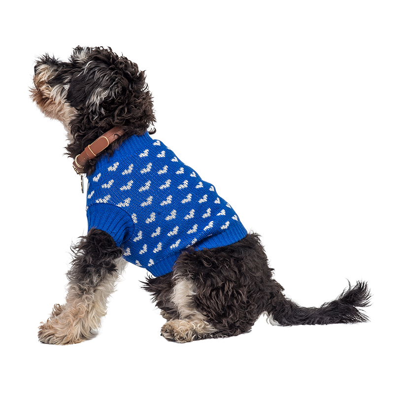 Printed Heart Sweater for Dogs
