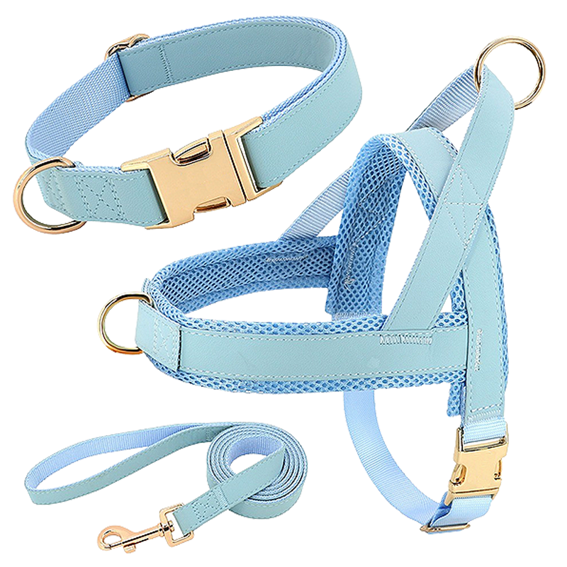Dog Harness Kit with Collar and Leash