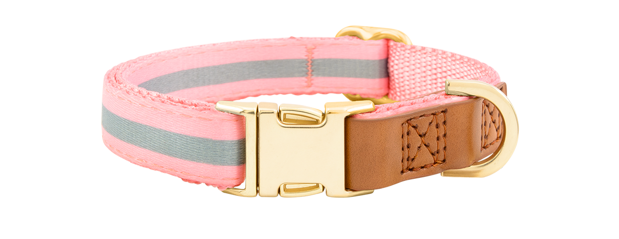 Dog Collar with Buckle