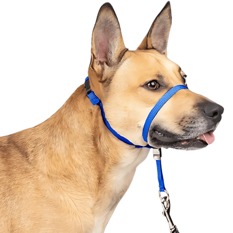 No Pull Dog Head Collar with Padded Nose Loop