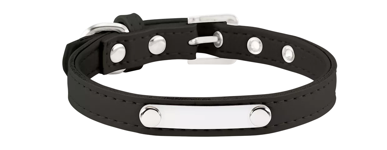 Classic Engraved Dog Collar