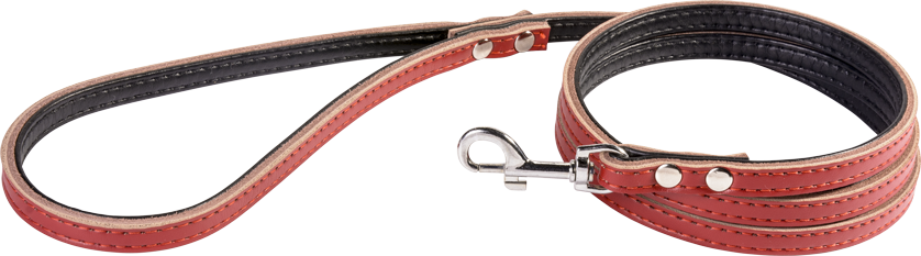 Leather Dog Leash Laisse en cuir