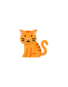 Cat Accessories - Dogtags.co.za